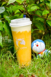 火爆全福州的小鹿茶測(cè)評(píng)來了！一口氣喝了5杯，你的夏日飲品要更新了